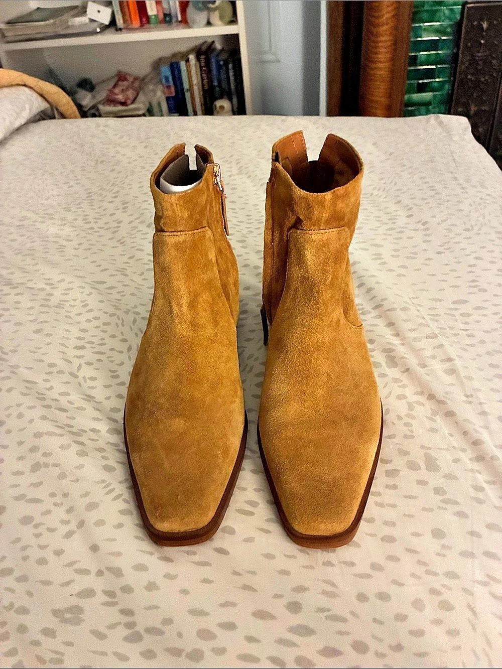 Sarto Women's Pointed Toe Ankle Boots in Brown
